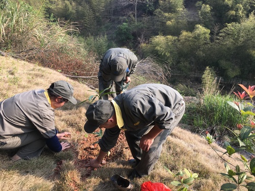 鄭新浩：永安分公司六車間組織員工開(kāi)展植樹(shù)活動(dòng)1.jpg